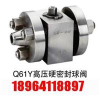 高压硬密封球阀Q61Y