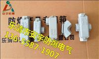 供应防水防尘防腐穿线盒G3/4 直通-YHXE-A-G3/4