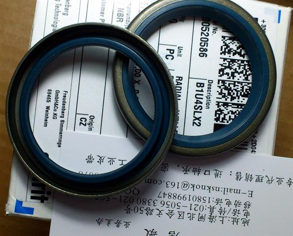 德国CFW品牌B1外铁壳油封