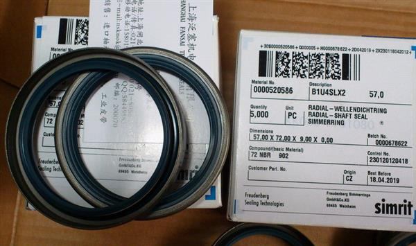 德国CFW品牌B1FUDSL型油封