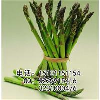 阿特拉斯芦笋种子|芦笋种子价格