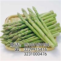 格兰德芦笋种子价格|芦笋种子价格