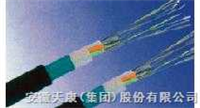 天康集团低价供应光纤光缆GYTS系列