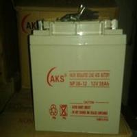AKS蓄电池12V38AH