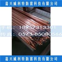 哪家便宜铜覆钢接地极 