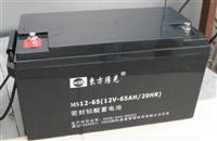 MS12-65东方阳光蓄电池12V-65AH/20HR厂家直销
