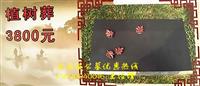 唐官屯永安陵园公墓 天津*好的公墓 名人豪华墓地