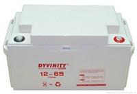 大力王12V65AH蓄电池/12-65DYVINITY大力蓄王电池厂家直销