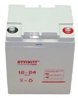 大力王12V24AH蓄电池/12-24DYVINITY大力蓄王电池厂家直销
