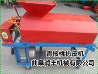 青核桃脱皮机 新型青核桃脱皮机 茶籽脱皮机厂家