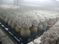 广东深圳食用菌喷雾加湿器喷雾加湿机批发零售