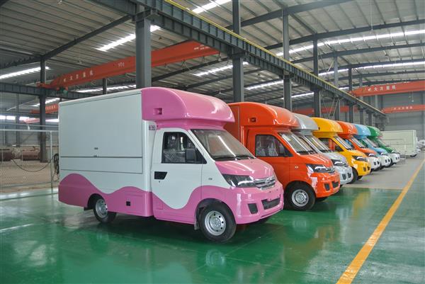 岳阳菜篮子车多少钱