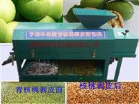 大小核桃去皮机 自吸泵核桃去皮清洗机 