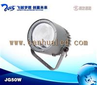 50W户外景观聚光投光灯，户外景观投光灯，亮化聚光灯