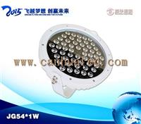 54W烤白漆户外景观投光灯，照明亮化投光灯，酒店工程投光灯