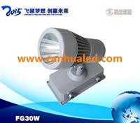 30W户外反光杯聚光LED投光灯，酒店外墙打光亮化投光灯，聚光灯