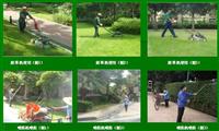 深圳冬季园林绿化养护工程