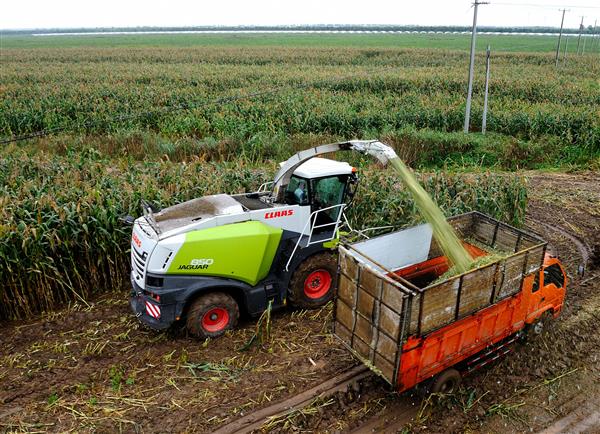 克拉斯青贮机作业找农网